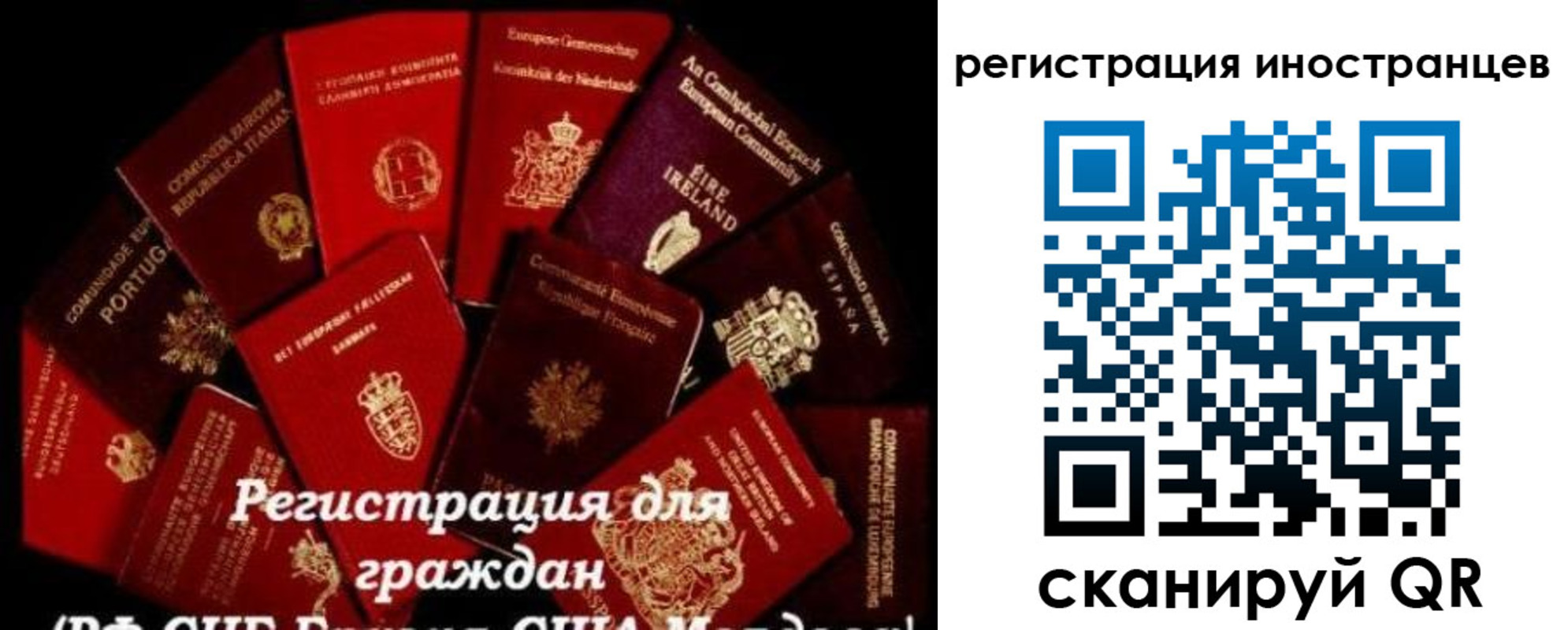 прописка иностранных граждан в Жердевке